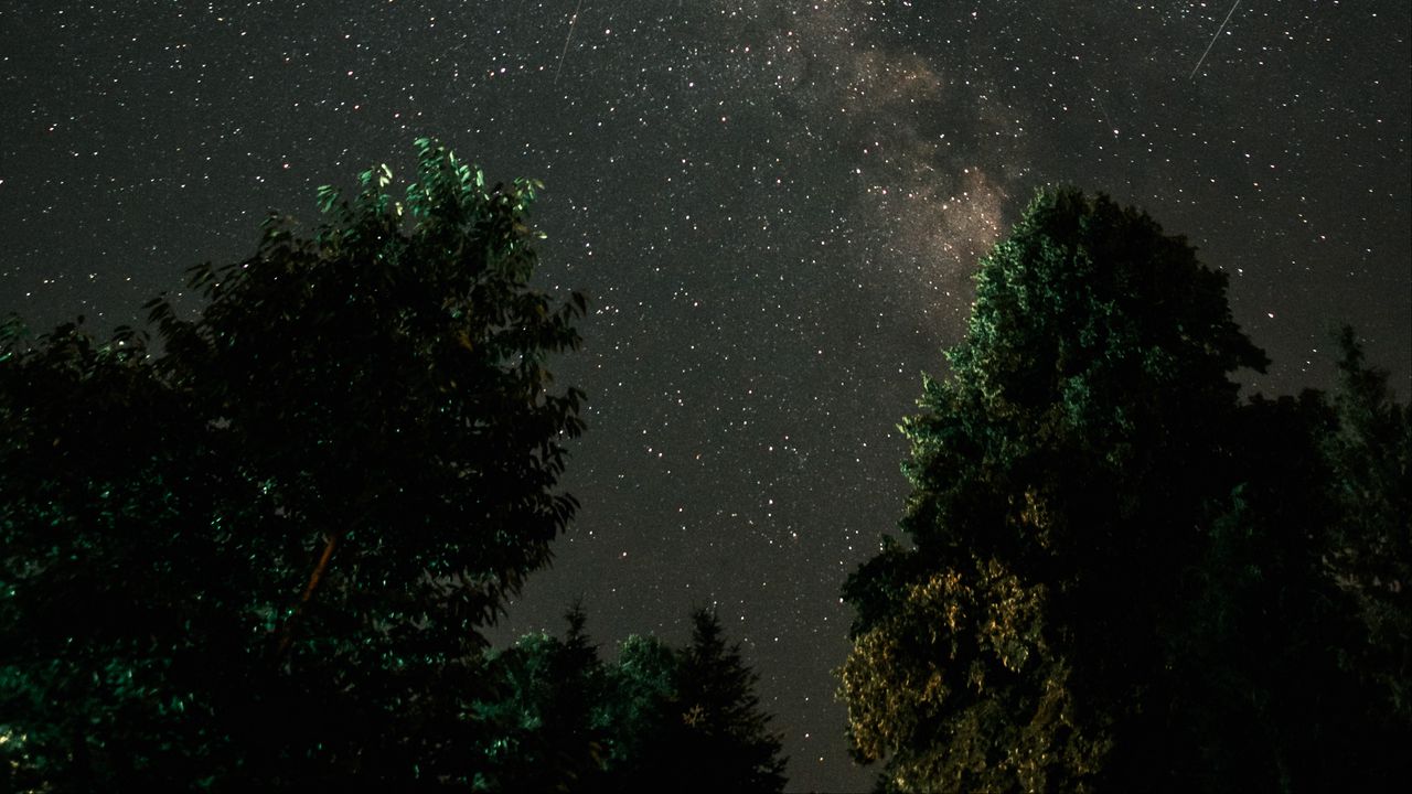 Обои млечный путь, звездное небо, ночь, деревья