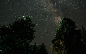 Превью обои млечный путь, звездное небо, ночь, деревья