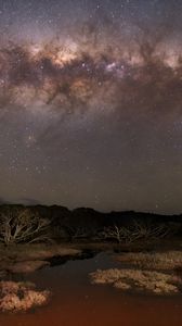 Превью обои млечный путь, звезды, небо, космос, деревья, темный, пейзаж