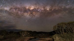 Превью обои млечный путь, звезды, небо, космос, деревья, темный, пейзаж