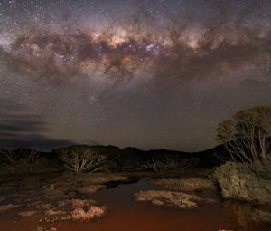 Превью обои млечный путь, звезды, небо, космос, деревья, темный, пейзаж