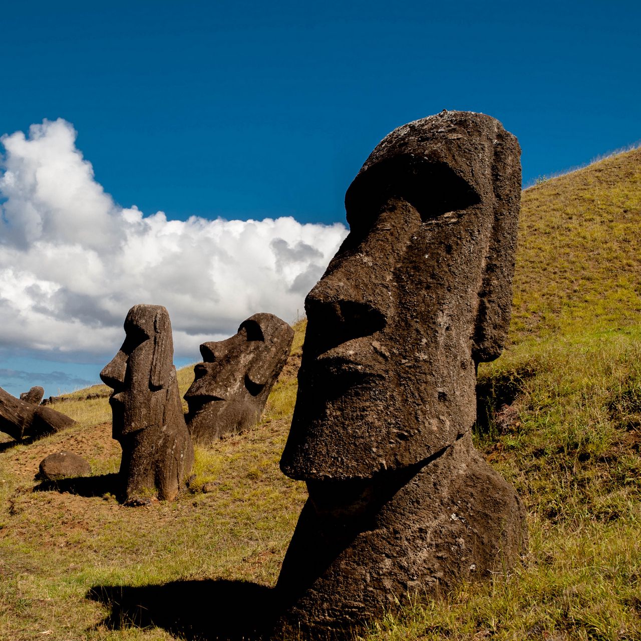 1280x1280 Обои моаи, статуя, идол, остров пасхи, каменный
