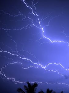 Превью обои молния, буря, пальмы, небо