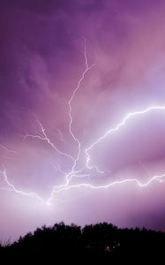 Превью обои молния, гроза, небо, деревья, фиолетовый, темный
