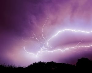 Превью обои молния, гроза, небо, деревья, фиолетовый, темный
