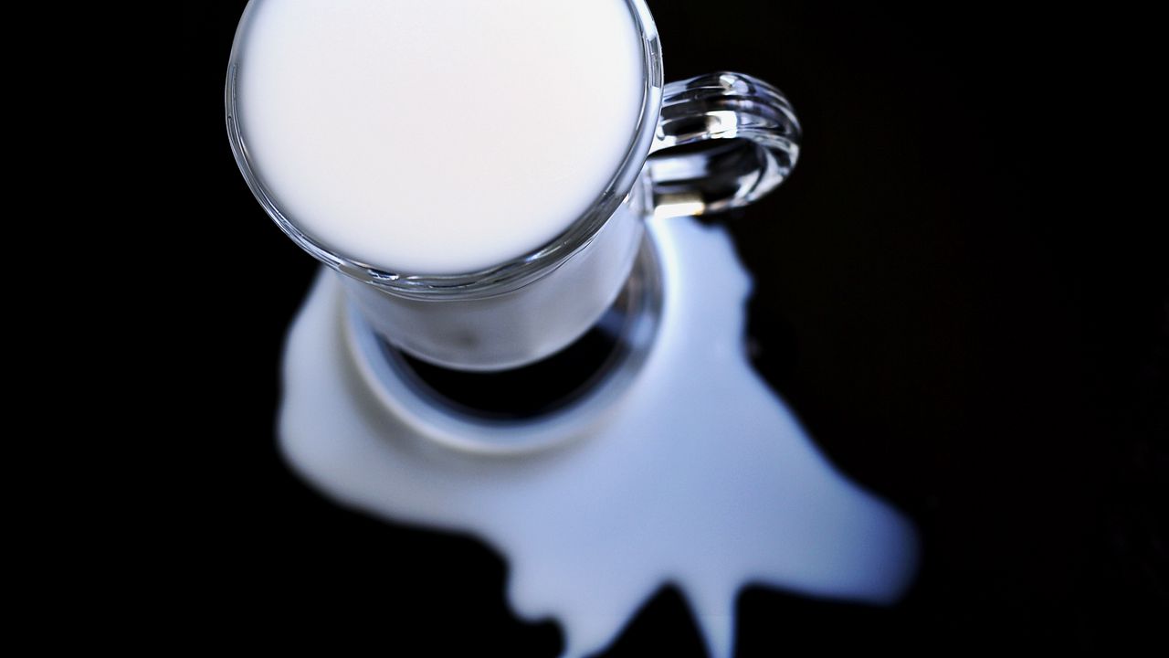 Хоста разлитое молоко фото