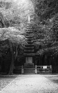 Превью обои монумент, статуя, деревья, парк, чб