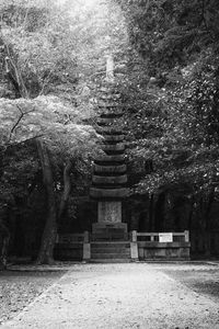 Превью обои монумент, статуя, деревья, парк, чб