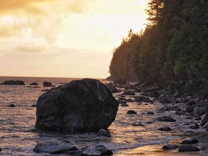 Превью обои море, берег, камни, деревья, закат, пейзаж