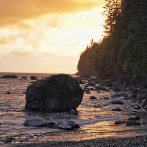 Превью обои море, берег, камни, деревья, закат, пейзаж