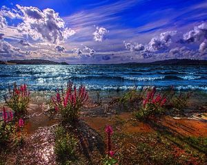 Превью обои море, берег, песок, цветы, краски, цвета, волны, день, ясно