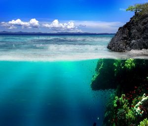 Превью обои море, берег, скалы, подводный мир, растительность, рыба