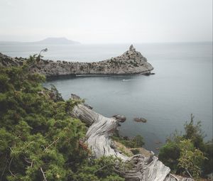 Превью обои море, бухта, берег, дерево, ствол