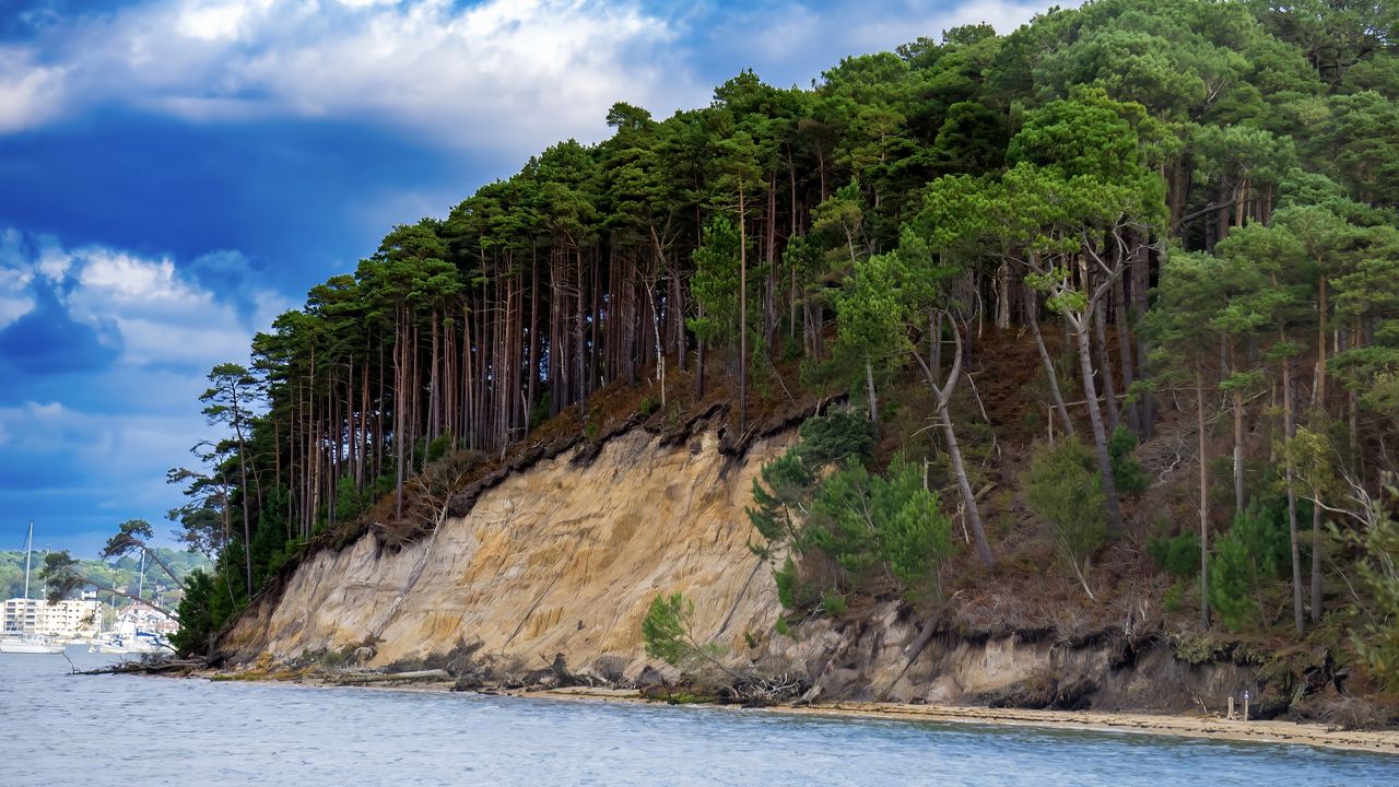 Обои море, деревья, лес, облака, пейзаж