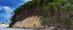 Превью обои море, деревья, лес, облака, пейзаж