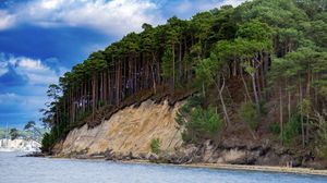 Превью обои море, деревья, лес, облака, пейзаж