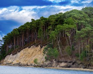 Превью обои море, деревья, лес, облака, пейзаж