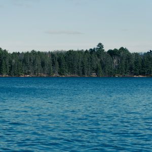 Превью обои море, деревья, лес, природа