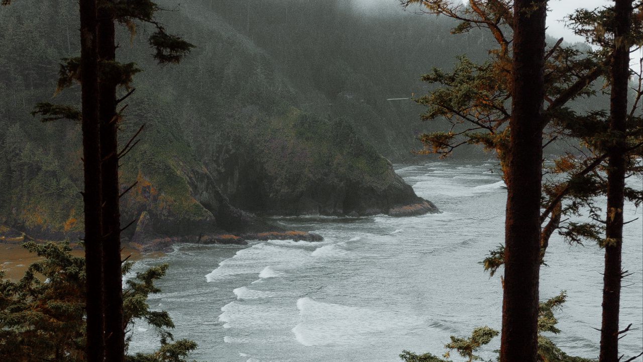 Обои море, деревья, прибой, скалы, туман