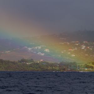 Превью обои море, деревья, радуга, дома