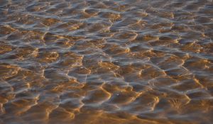 Превью обои море, дно, прозрачный