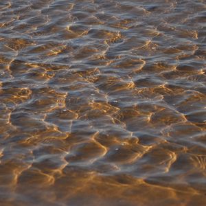 Превью обои море, дно, прозрачный