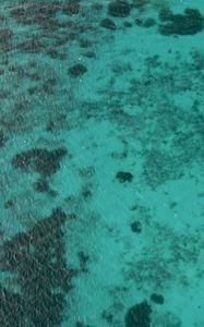 Превью обои море, дно, рябь, природа