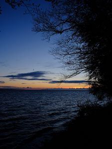 Превью обои море, горизонт, ветки, ночь, рябь