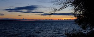 Превью обои море, горизонт, ветки, ночь, рябь