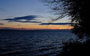 Превью обои море, горизонт, ветки, ночь, рябь