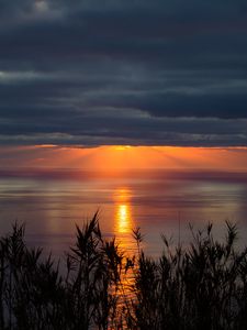 Превью обои море, горизонт, закат, облака, трава, сумерки