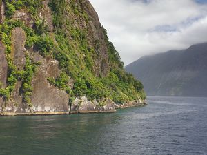 Превью обои море, горы, кусты, туман