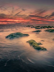 Превью обои море, камни, мох, пейзаж, природа