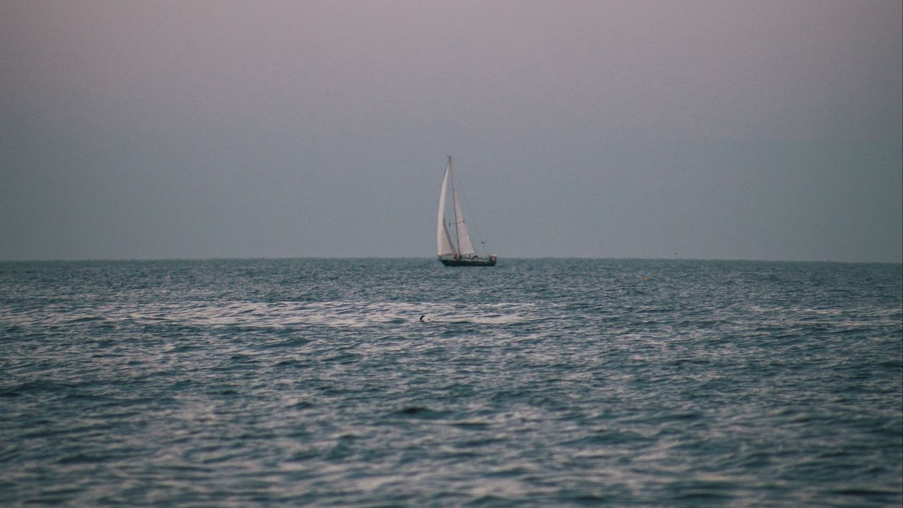 Обои море, лодка, горизонт, вода, судно