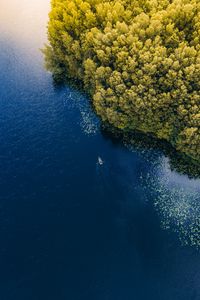 Превью обои море, лодка, вид сверху, деревья, литва