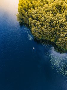 Превью обои море, лодка, вид сверху, деревья, литва