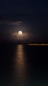 Превью обои море, луна, ночь, огни