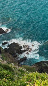 Превью обои море, морская пена, трава, камни