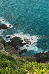 Превью обои море, морская пена, трава, камни
