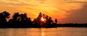 Превью обои море, пальмы, закат, тропики, природа