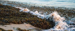 Превью обои море, пена, водоросли, пейзаж