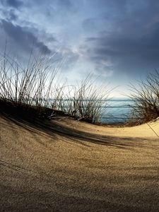 Превью обои море, песок, трава, холм, пасмурно, берег, ложбина