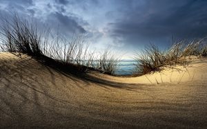 Превью обои море, песок, трава, холм, пасмурно, берег, ложбина