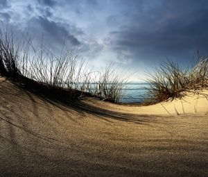 Превью обои море, песок, трава, холм, пасмурно, берег, ложбина