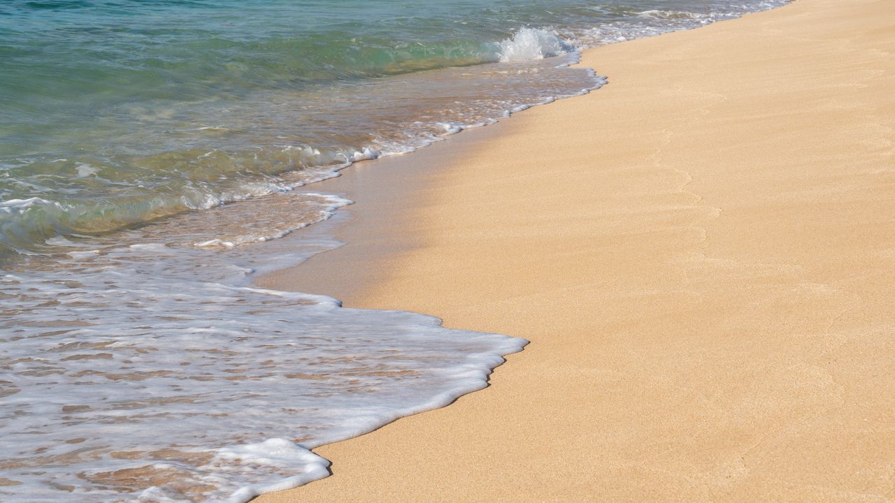 Обои море, песок, волны, пена, пейзаж