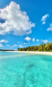 Превью обои море, пляж, пальмы, лето, тропики