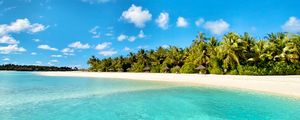 Превью обои море, пляж, пальмы, лето, тропики