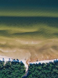 Превью обои море, побережье, вид сверху, вода, деревья