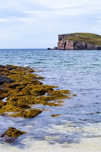 Превью обои море, рифы, скала, природа