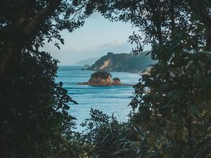 Превью обои море, скалы, берег, деревья, кусты, вид
